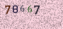 Visual Confirmation Security Code