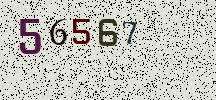 Visual Confirmation Security Code