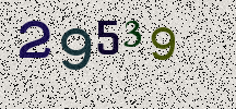 Visual Confirmation Security Code