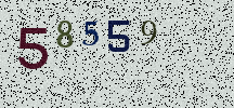 Visual Confirmation Security Code