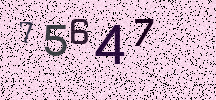 Visual Confirmation Security Code