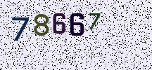 Visual Confirmation Security Code