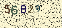 Visual Confirmation Security Code