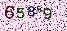 Visual Confirmation Security Code