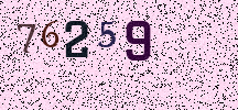 Visual Confirmation Security Code