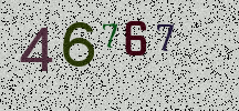 Visual Confirmation Security Code